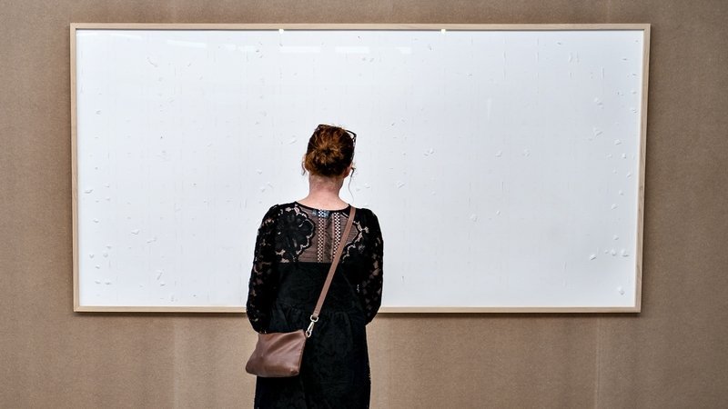 Danish artist loaned €71,800 by museum keeps cash, says it's art