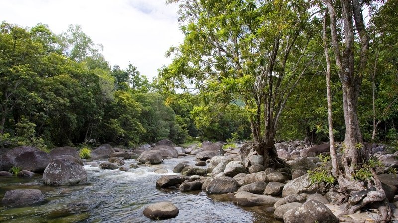 Australia returns world's oldest rainforest to Indigenous group