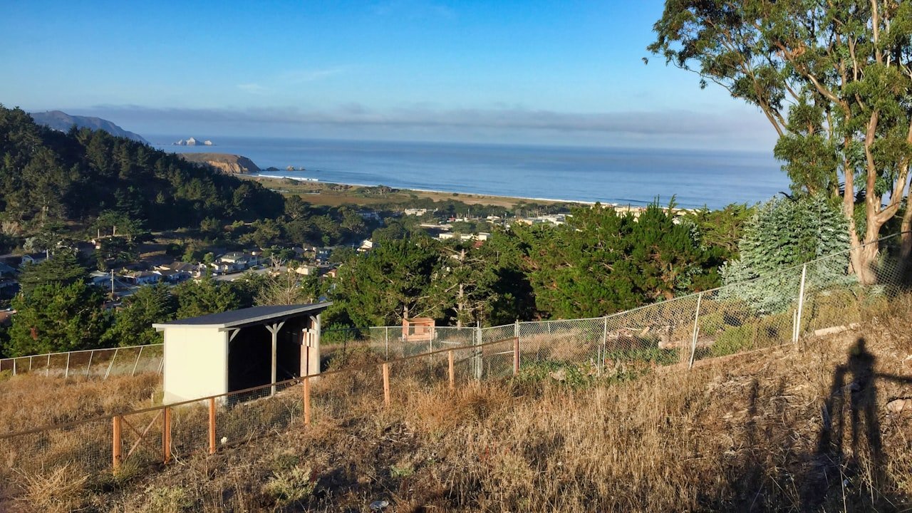 Teaching with Joyusing Document Camera Without Using a Computer