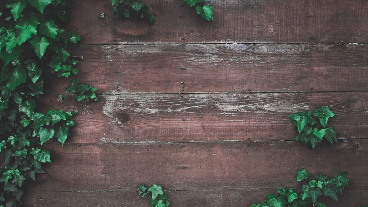 Simple ways to check for wood pellet quality