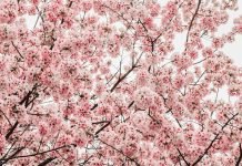 7 Clever Uses for Spring Clips That You Didn’t Know About