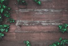 Simple ways to check for wood pellet quality