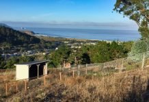 Teaching with Joyusing Document Camera Without Using a Computer